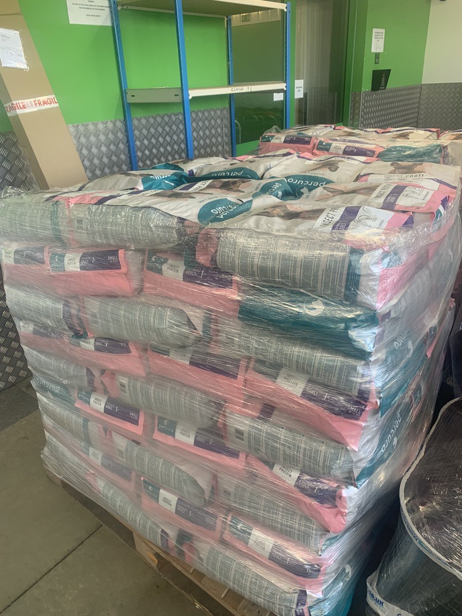 pinherts tweet media