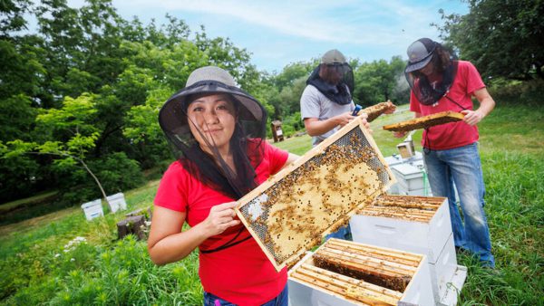 Bee Program Protects Pollinators 🐝

👉 Read article: ow.ly/U9u350MuaCk

#pollinators #honeybees #environment #honey #agriculture #beekeeper #beekeeping