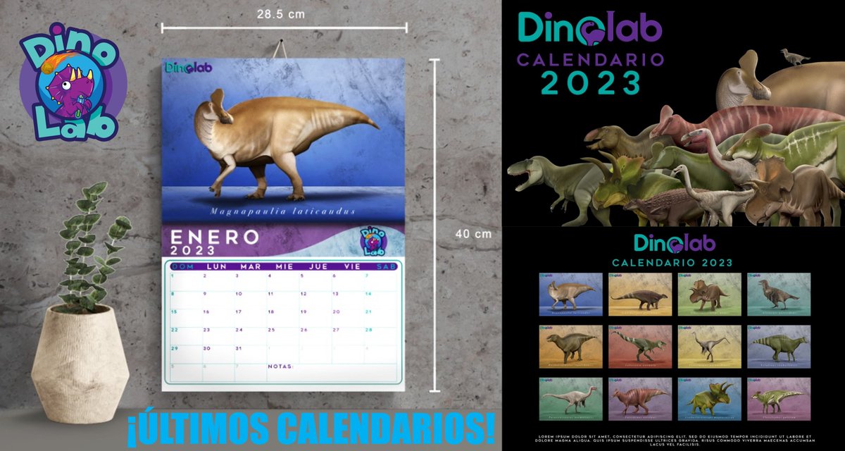 DinoLabMX's tweet photo. ¿Ya tienen su calendario 2023🧐? 
Este calendario contiene las ilustraciones más modernas y actualizadas de las doce especies de dinosaurios 🦖descubiertas en México 🇲🇽, así como anatómicamente más cercanos a lo que se conoce científicamente de estos organismos 😃. https://t.co/nHr0JkLlJ9