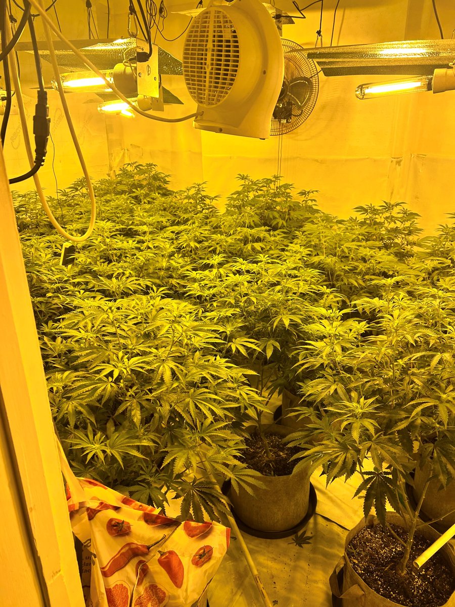 bedspolice's tweet image. CHARGED: Two men from Bedford have been charged with drug dealing offences following separate warrants led by local community officers. On one of the warrants yesterday (Tuesday), Bedfordshire Police officers seized cannabis worth up to £70,000 from an address in Kempston.