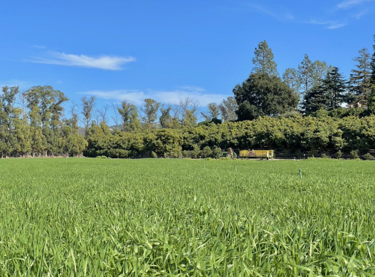 Tractor-drawn wagon rides are running again today and the pick your own fields are filled with seasonal vegetables ready to harvest! Visit underwoodfamilyfarms.com/pick-your-own-… for more information!