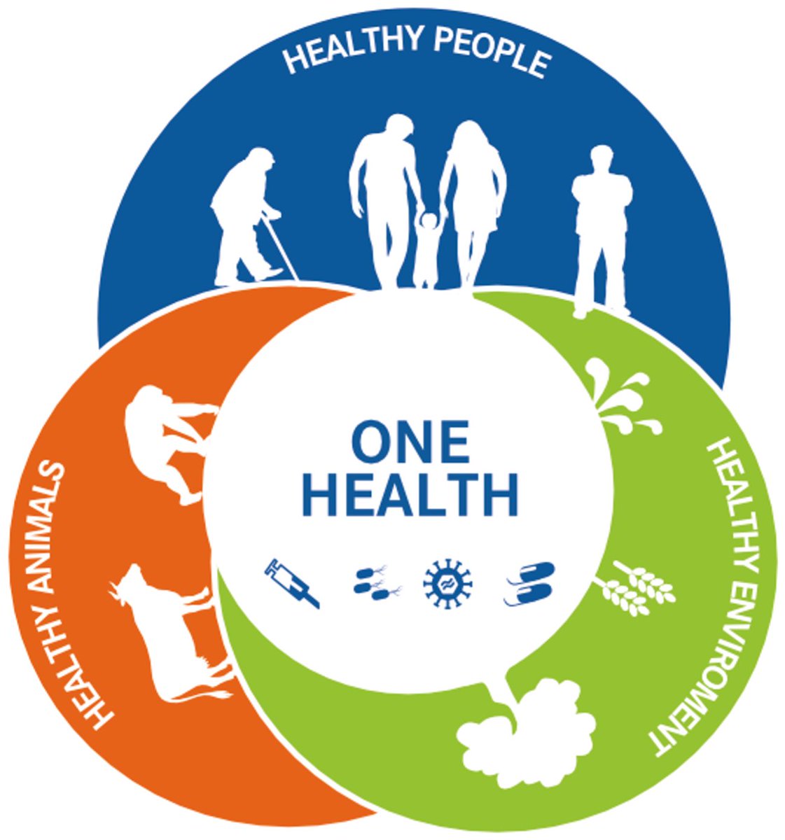 OneHealthResearchGreifswald tweet media