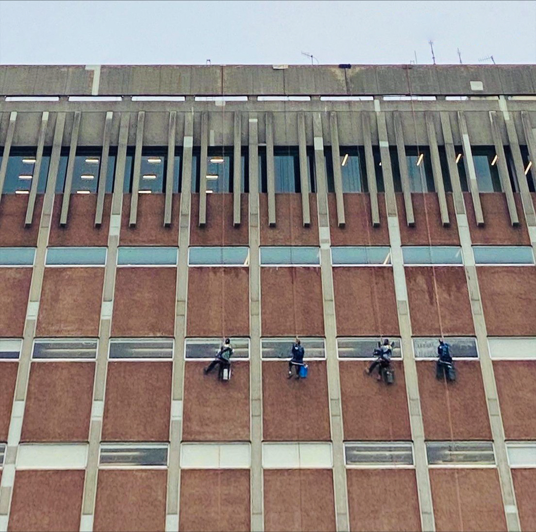 BU Campus Planning & Operations tweet media