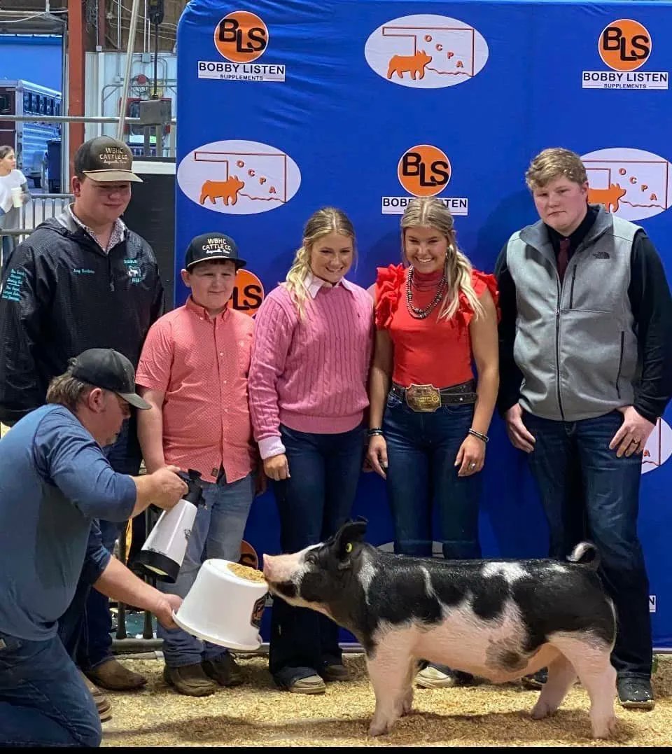 SGIBoars's tweet photo. CHAMPION BERK
2023 Oklahoma Club Pig Association Jackpot
Sired by :: SORRY 4 THE WAIT
Raised by :: Herren Farms, OK
#SGIBOARS https://t.co/QxypypzVFF