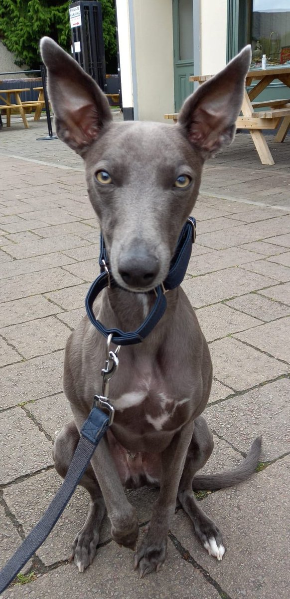 Tim Byrne tweet media