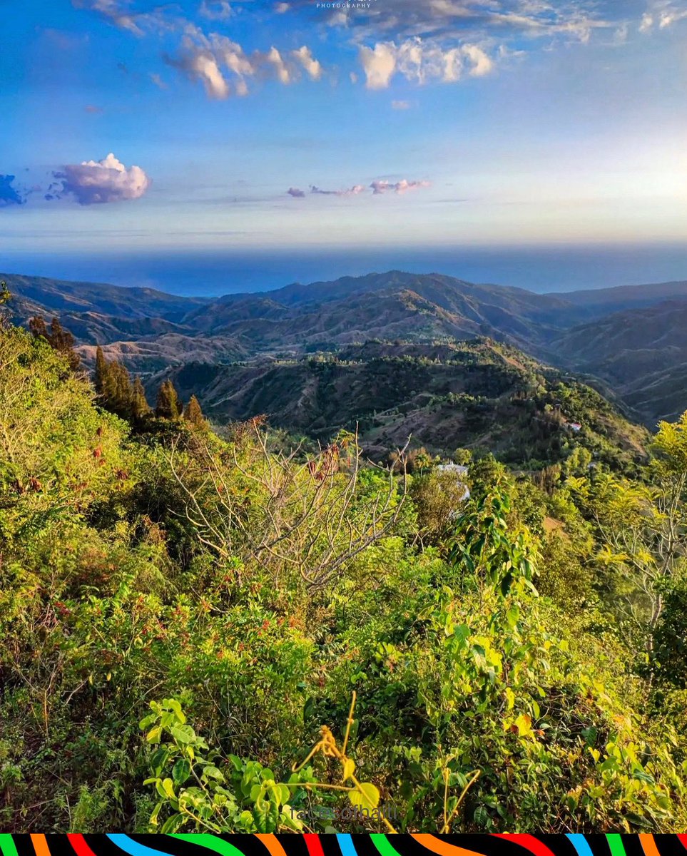 FacesOfHaiti_'s tweet photo. 📍Ridoré, La Vallée de Jacmel - Haiti 
————

#facesofhaiti by @Atom4ever1 
#haiti #haitian #ayiti https://t.co/d6uWdADbHO