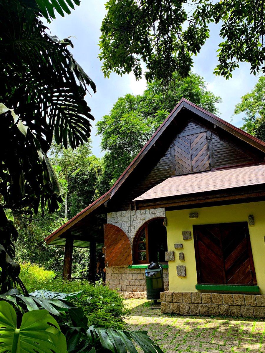 SamiaSenna's tweet photo. 💚 https://t.co/4z2vAqCJKu