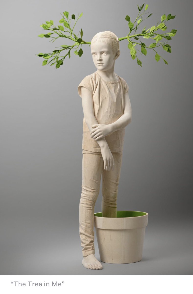 Mary Walker Hope 🇨🇦 tweet media