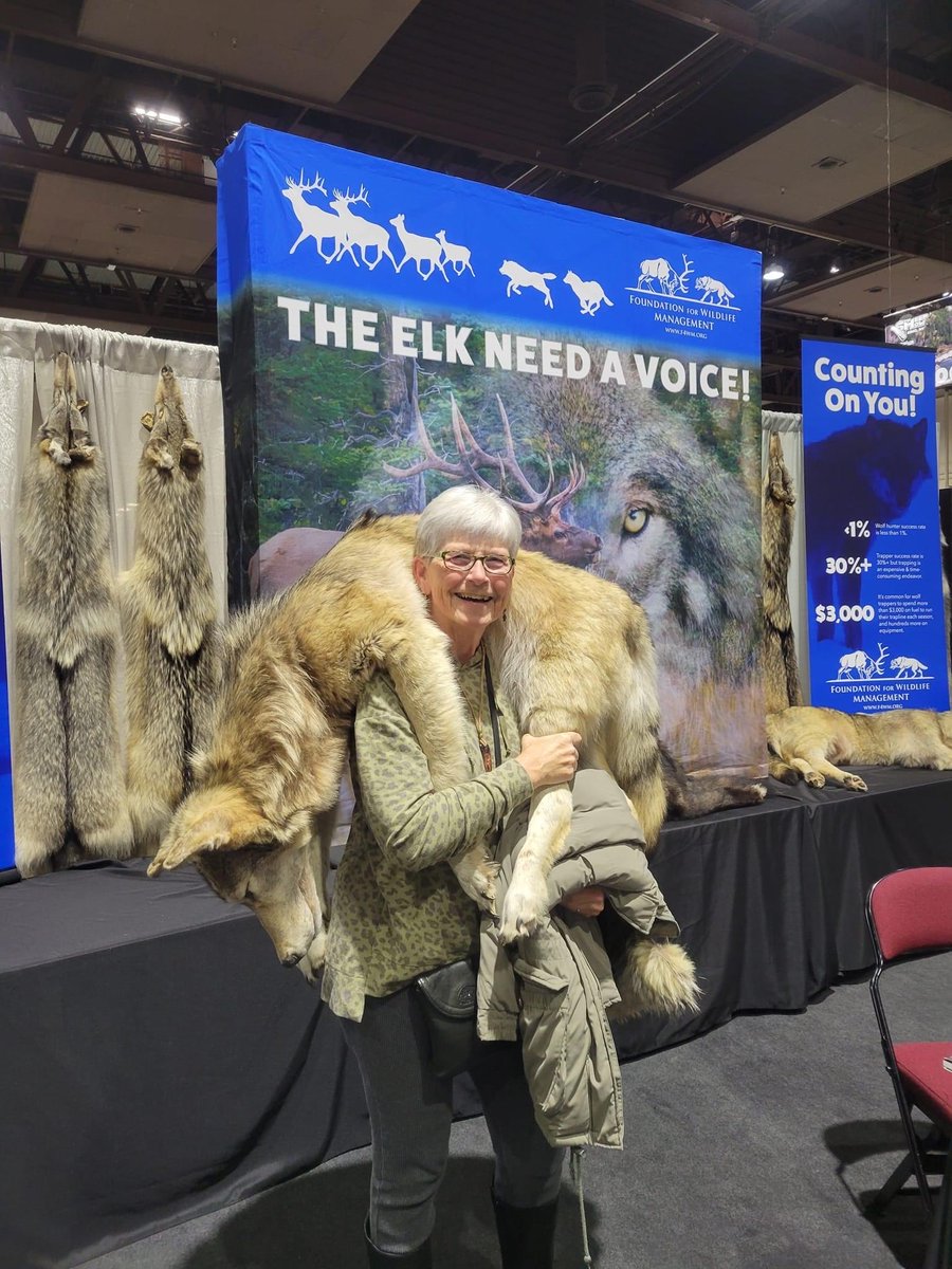 DaniCal48174604's tweet photo. Really? I could share some empathy “IF” this group (Foundation for wildlife) aka wolf Bounty hunters was really concerned about the Elk, but no they are only concerned that not enough is on their dinner plate. #relistwolves all states https://t.co/VukTLx7MXY