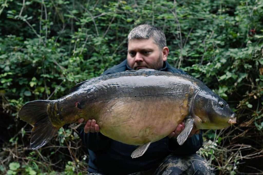 MainlineBaits's tweet photo. Luke Meyers sneaked this beaut out just before the holidays weighing 38lb from a small undisclosed venue. Luke told us: "I'm baiting as often as I can using 10mm Cell and Essential Cell boilies.
#mainlinebaits #wintercarpfishing #carpfishing #fishing #essentialcell https://t.co/fQeGvEFU46