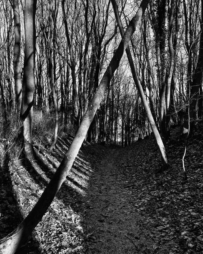 _rexhenry's tweet photo. fallen arch. belas knap. first wood then stone. https://t.co/wDV45Qnxxd https://t.co/VGomUzPmAo