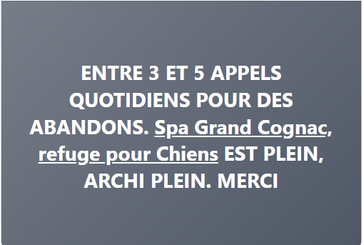 DelavegaPepita's tweet photo. #dpt16 #cognac #charente #régionNouvelleAquitaine
🆘🆘🆘🆘🆘🆘🆘🆘🆘🆘🆘🆘🆘🆘🆘🆘
URGENCE ADOPTION 
REFUGE ARCHI PLEIN 
🆘🆘🆘🆘🆘🆘🆘🆘🆘🆘🆘🆘🆘🆘🆘🆘
https://t.co/tBS325mi0j https://t.co/KEY5TdjiSD