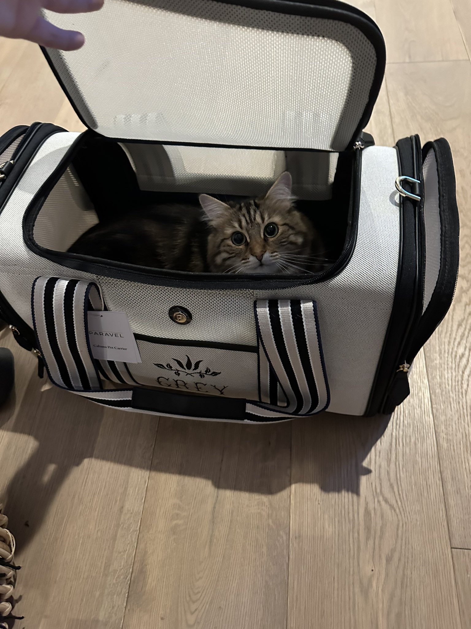 Cabana Pet Carrier