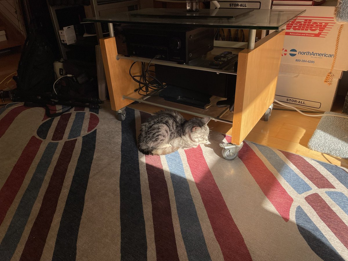 iamkj's tweet photo. Tori finally gets some sun after two weeks of storms https://t.co/EW3rkyMgLG