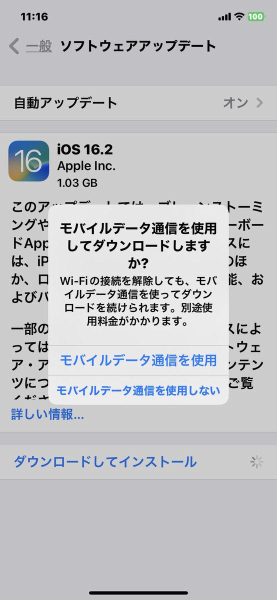 kyoko_ninja's tweet image. 何をしてもアップデートできん
電源切った
WiFiリセットした
アップデート削除した
時間おいてチャレンジした
容量も確保している
5回もやって無理
 #iOSアップデート