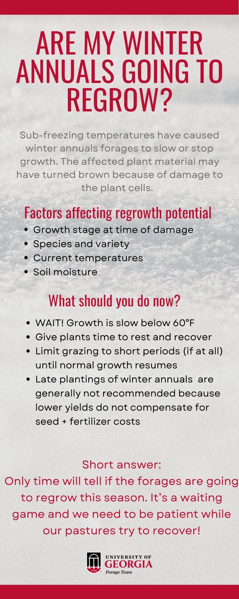 Georgia Forages tweet media