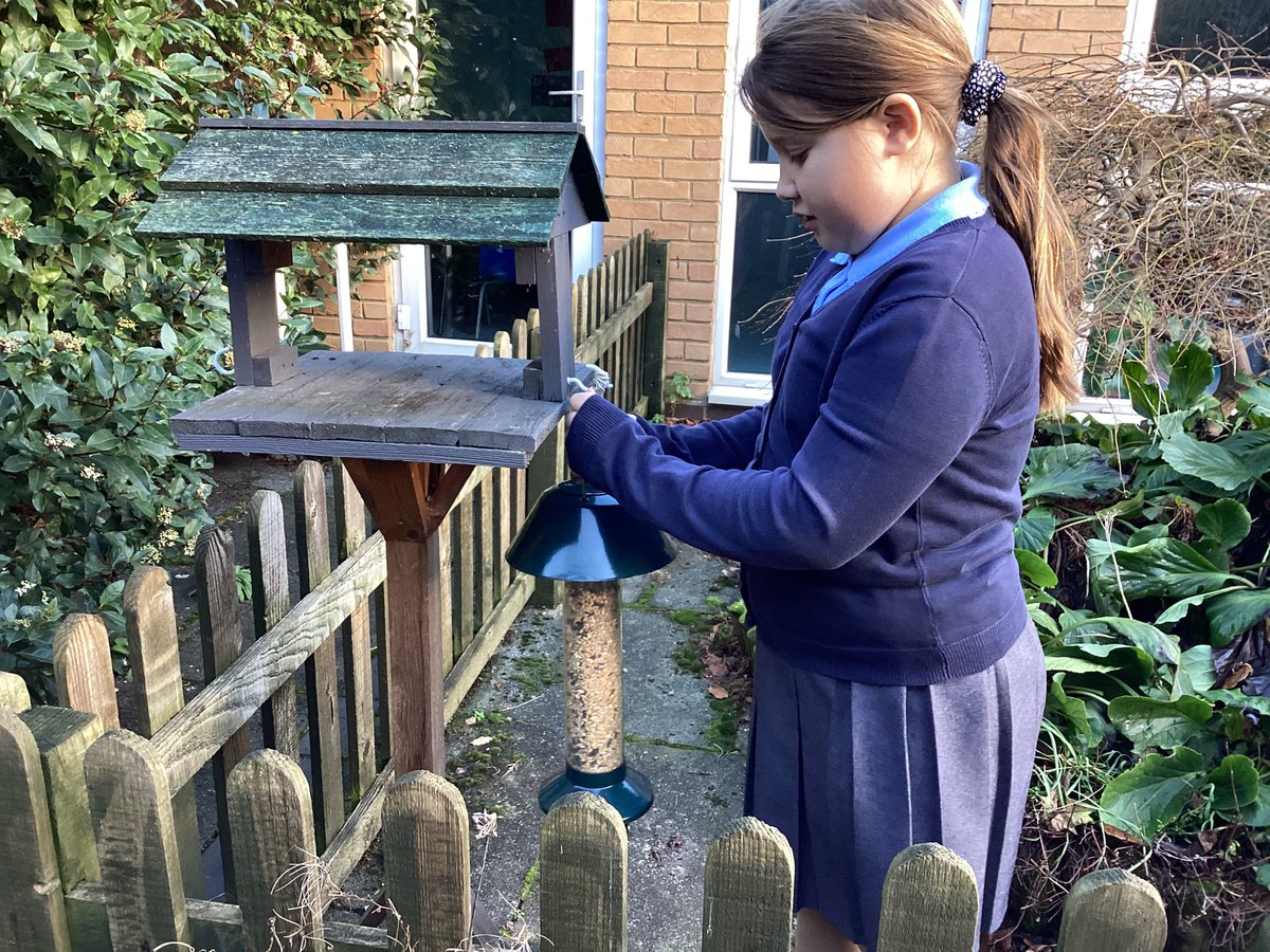 Fairview Primary tweet media