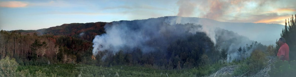 Marisol Acuña (@marisolacuna) on Twitter photo Incendio Forestal de sector Los Ulmos, camino a Futa, sigue activo. Necesitamos apoyo de las brigadas de <a href="/incendios_CONAF/">CONAF - Incendios forestales</a> no han estado presente en los últimos focos. La foto que ven es de ayer en la tarde. Por favor RT #IFChamil #IncendioForestal #LosRios #Paillaco #LosUlmos Incendio Forestal de sector Los Ulmos, camino a Futa, sigue activo. Necesitamos apoyo de las brigadas de <a href="/incendios_CONAF/">CONAF - Incendios forestales</a> no han estado presente en los últimos focos. La foto que ven es de ayer en la tarde. Por favor RT #IFChamil #IncendioForestal #LosRios #Paillaco #LosUlmos