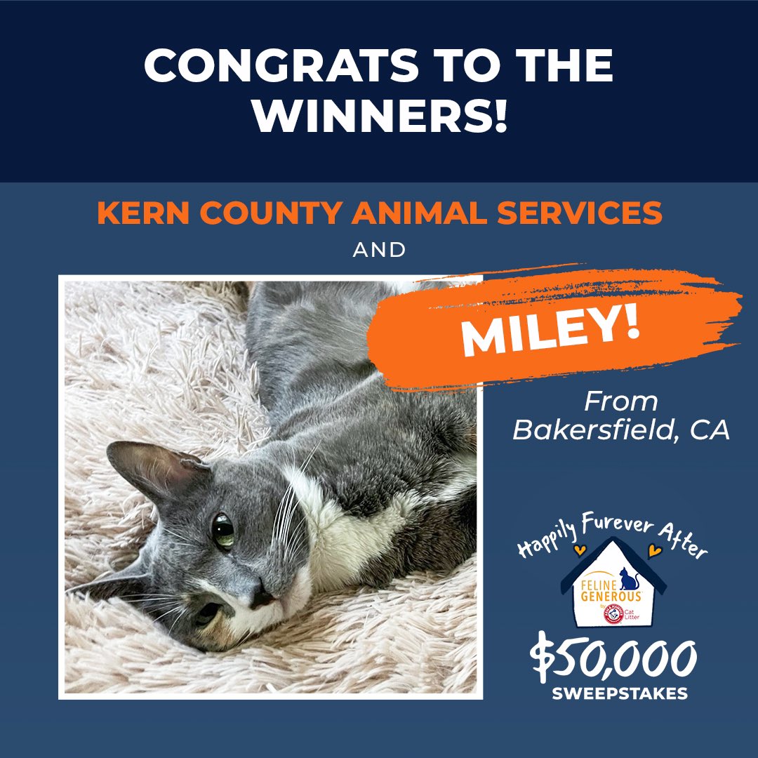 armandhammercat's tweet photo. #contest #winners #armandhammer #adoptdontshop #FelineGenerous #HappilyFureverAfter https://t.co/ysbSE1tOQx