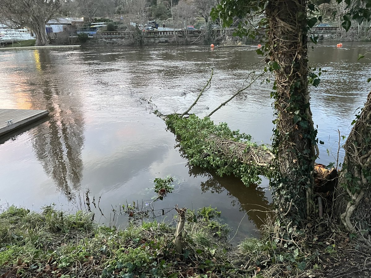 @Go_CheshireWest @CllrRDaniels This tree was reported last week, but is still there and is now stopping the rowing club from getting kids out on the water- can something be done please?