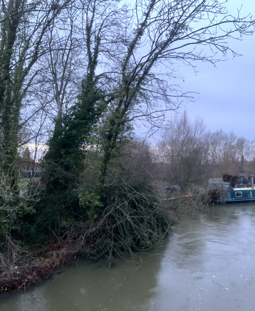 James King (@jamesking7341) on Twitter photo New Hinksey, East Oxford: 1w Yellow-browed Warbler still 200m N of Iffley Meadows, B4495 bridge 16.30 14th Jan + 2 collybita Chiffchaff, 7 Redpoll, Siskin, 40 Redwing <a href="/OOSbirding/">Oxford Ornithological Society</a> <a href="/oxonbirdnews/">Oxon Bird News</a> New Hinksey, East Oxford: 1w Yellow-browed Warbler still 200m N of Iffley Meadows, B4495 bridge 16.30 14th Jan + 2 collybita Chiffchaff, 7 Redpoll, Siskin, 40 Redwing <a href="/OOSbirding/">Oxford Ornithological Society</a> <a href="/oxonbirdnews/">Oxon Bird News</a>