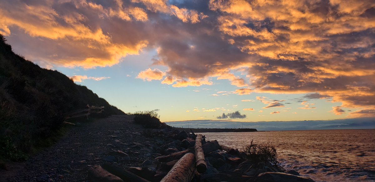 CYChepyha's tweet photo. @snufflewort From one of those great sunrises last week. Amazing how a few weeks can change the feel from the depths of winter to the hope of spring. https://t.co/K63sjvIPY1