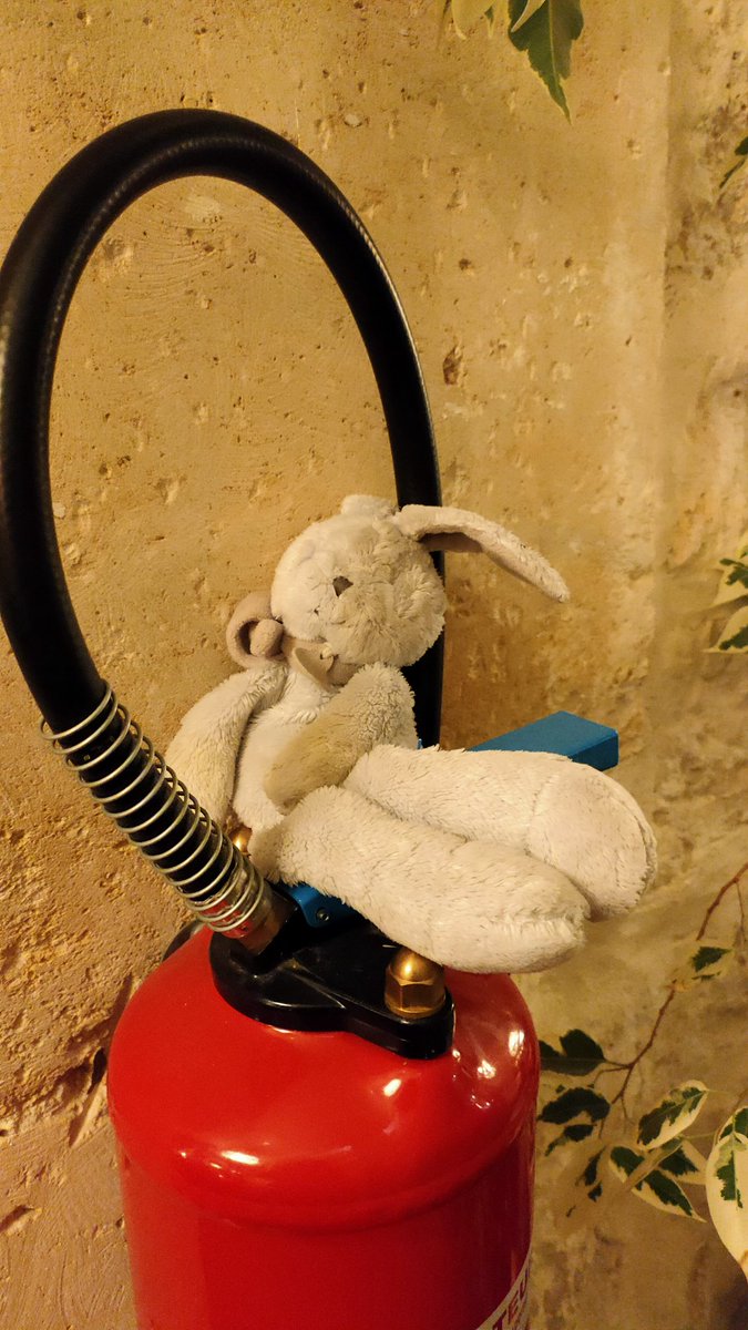 Doudou attend son papa ou sa maman au café Jeannette, gare Montparnasse.

🫶 Si tu fais tourner tu rends un gamin heureux 🫶