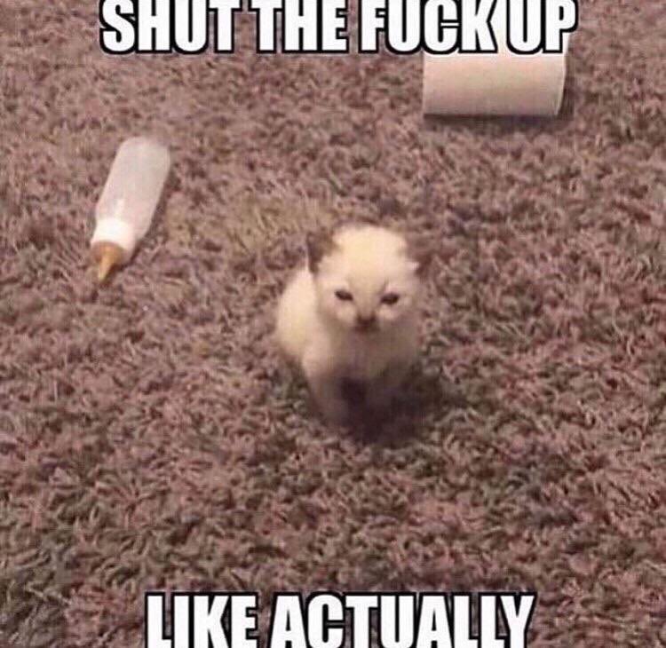 literallymecats's tweet photo. https://t.co/3h6qPaAw1Y