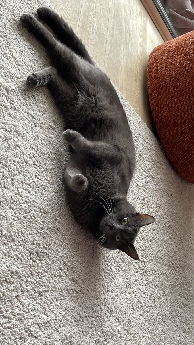 Руслан 🇰🇿 tweet media