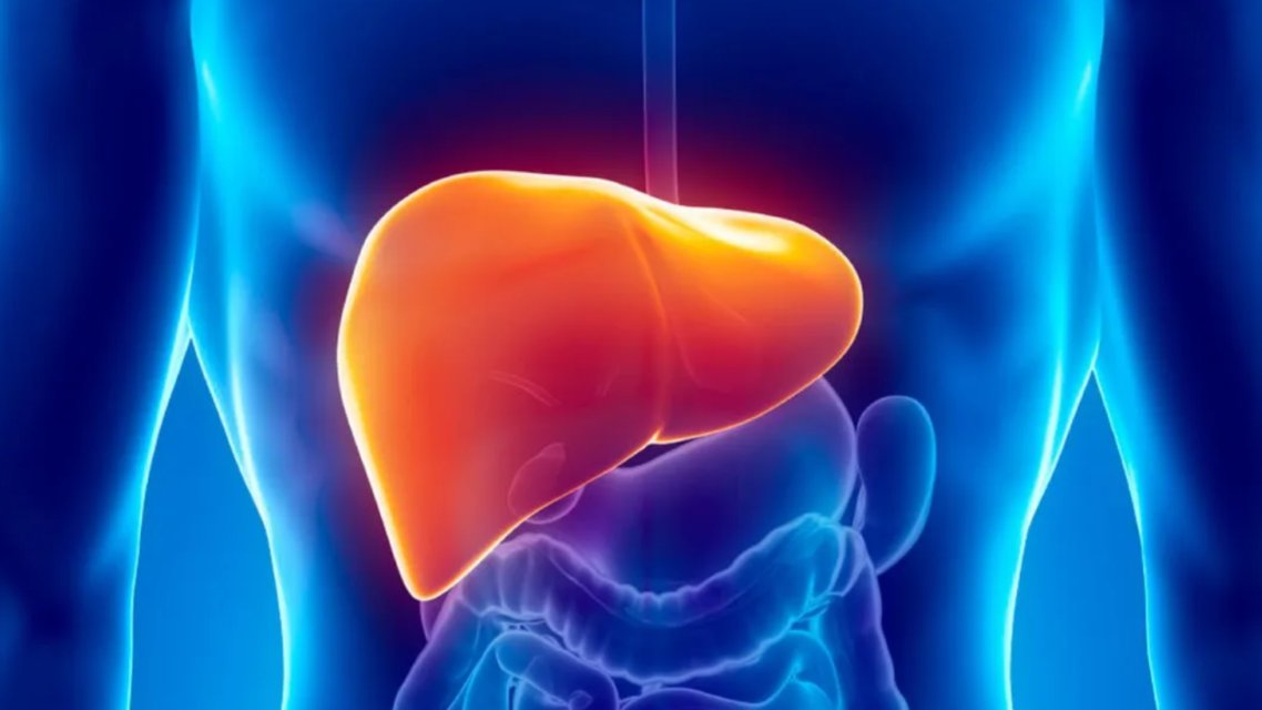InfluentialPeo1's tweet image. The Latest Treatment Developments in Liver Cancer Care
#treatment #latestdevelopment #livercancer #influentialpeoplemagazine #checkitout
influentialpeoplemagazine.com/the-latest-tre…