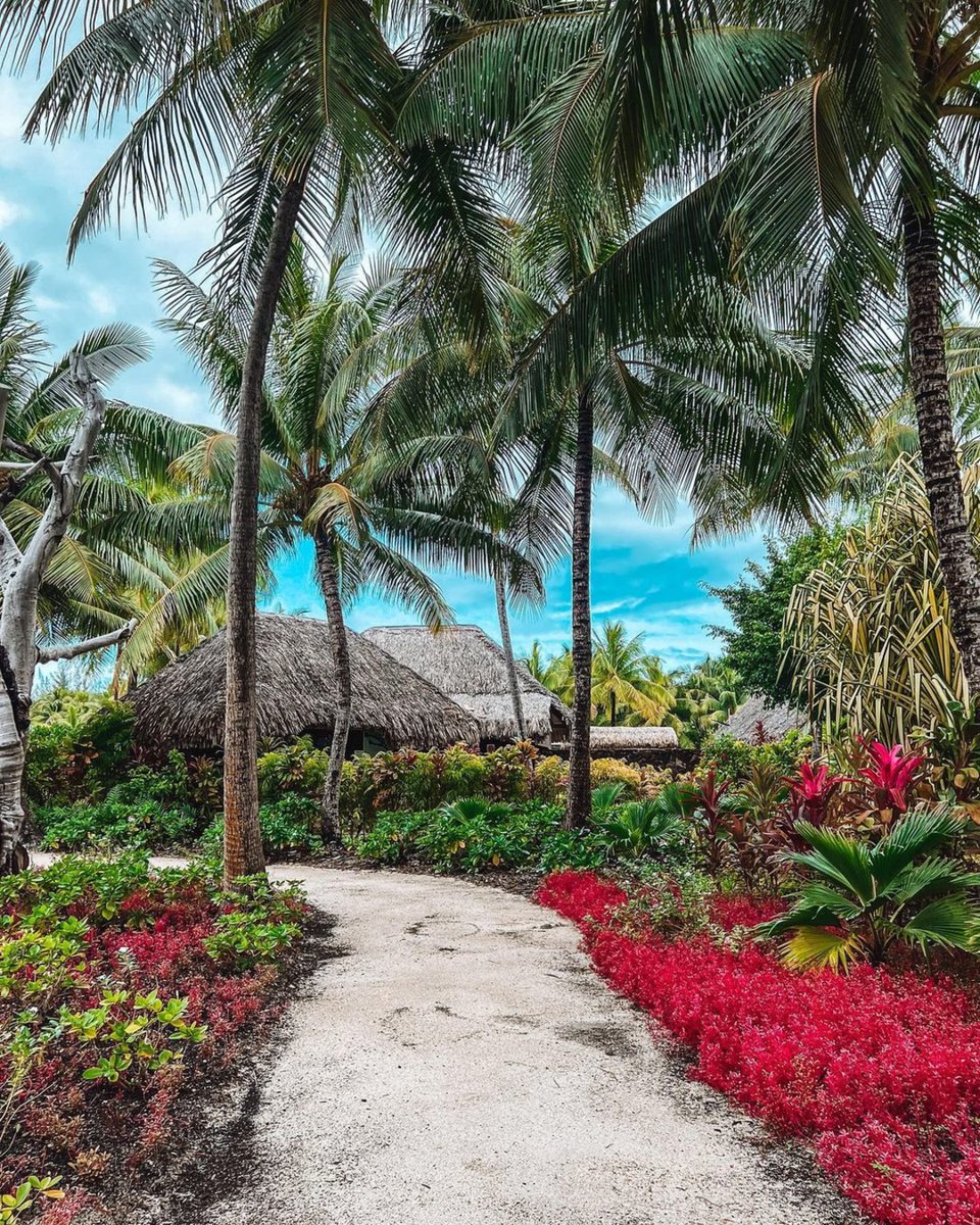 Will you be walking our way this year?

📸: IG/queencitythrifty