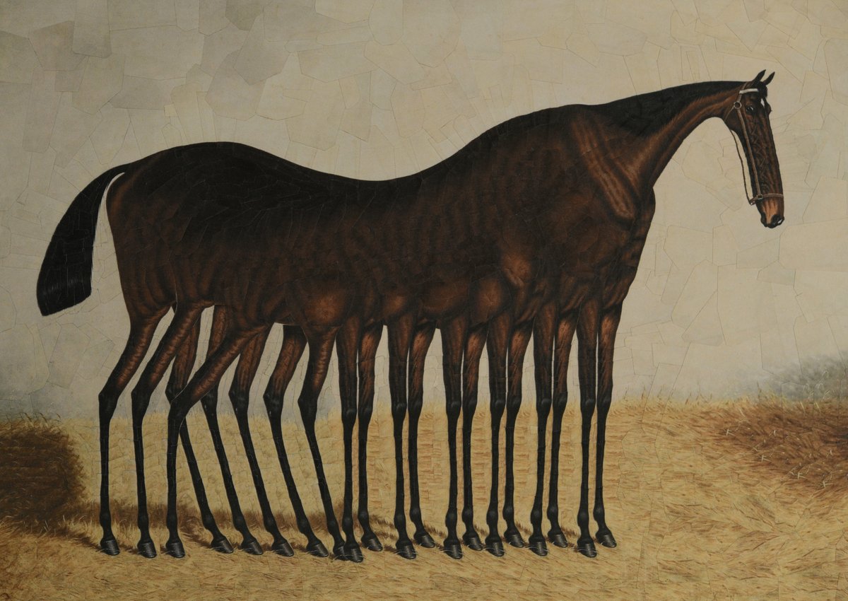 Lola Dupre tweet media