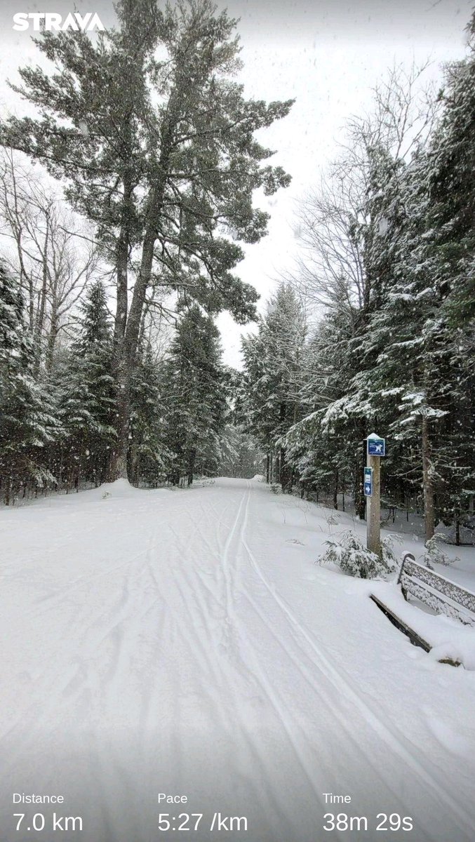 Darryl Johnstone tweet media