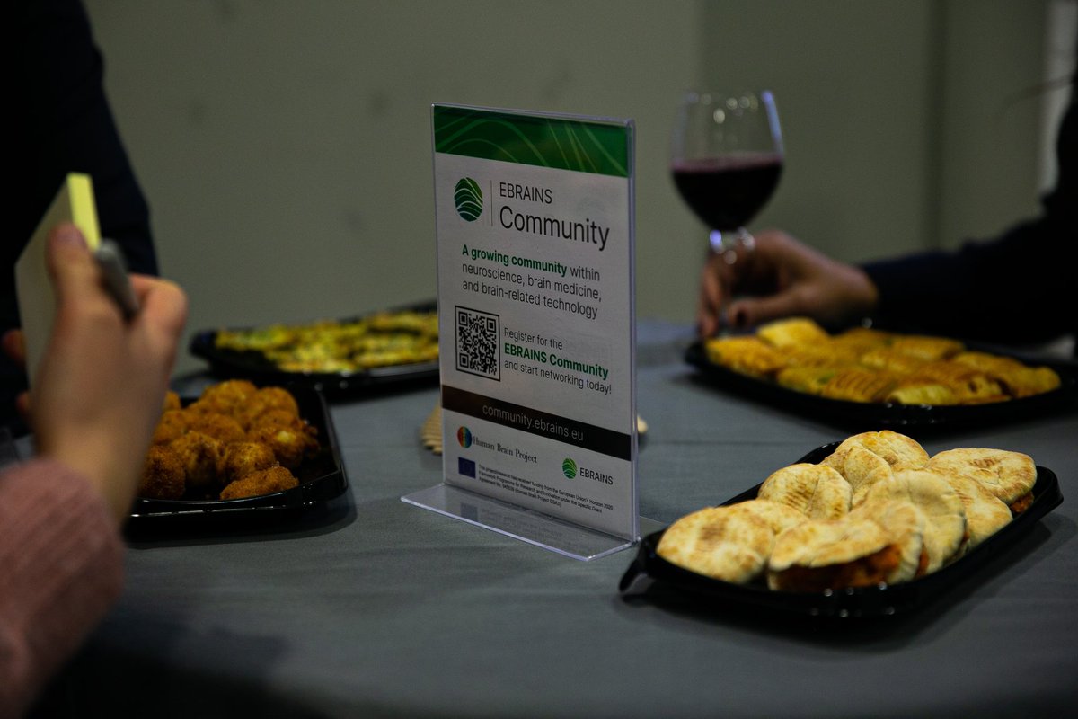 HBP_Education's tweet image. The first day of our #HBPSC2023 ends with a #networking session! 🤝 We hope you enjoyed the first day as much as we did! 🥳