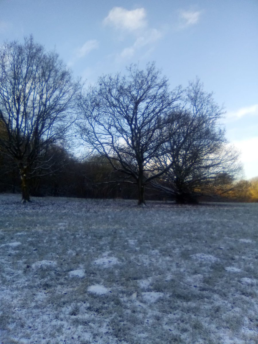We all woke up to a very cold day and it would be easy to stay home. Not for our ladies though. It was the perfect day for a Wednesday wintery walk with Wendy! It really was beautiful. If you’d like to join us why not get in touch #WomensCentre #Stockport #Nature #Exercise