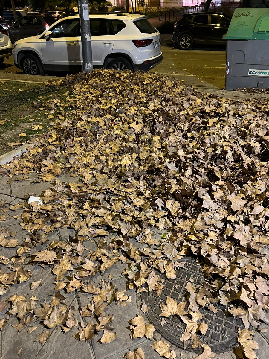 ivanlage's tweet photo. Luego lloverán 4 gotas y se inundará la calle. Podía pasar el servicio de limpieza a llevarse esto @AytoMurcia ? https://t.co/9qEno4uWYD