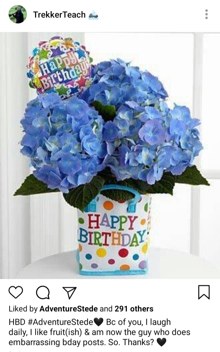 Ed's IG account. Picture of a bouquet of hydrangeas in a happy birthday vase. Caption reads "HBD @AdventureStede. Bc of you, I laugh daily, I like fruit(ish) & am now the guy who does embarrassing bday posts. So. Thanks? 