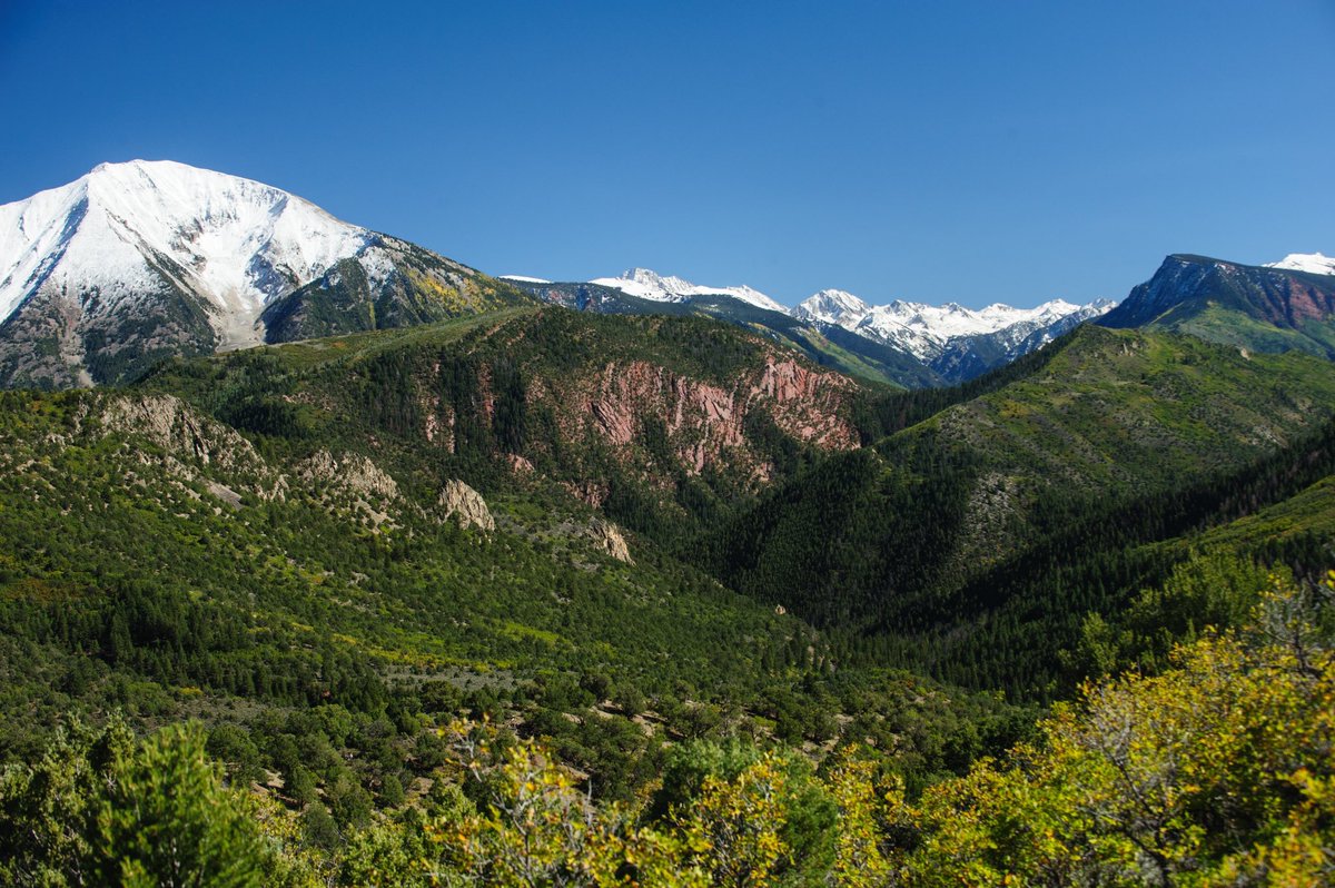 NWFoutdoors's tweet photo. We recently submitted comments on the @BLMNational’s proposed withdrawal of the #ThompsonDivide area in #Colorado. The Proposed Withdrawal would #conserve & #protect some of the finest #elk & mule #deer #habitat in the world & some of the best #hunting opportunities in Colorado. https://t.co/dyK3wpPB3e