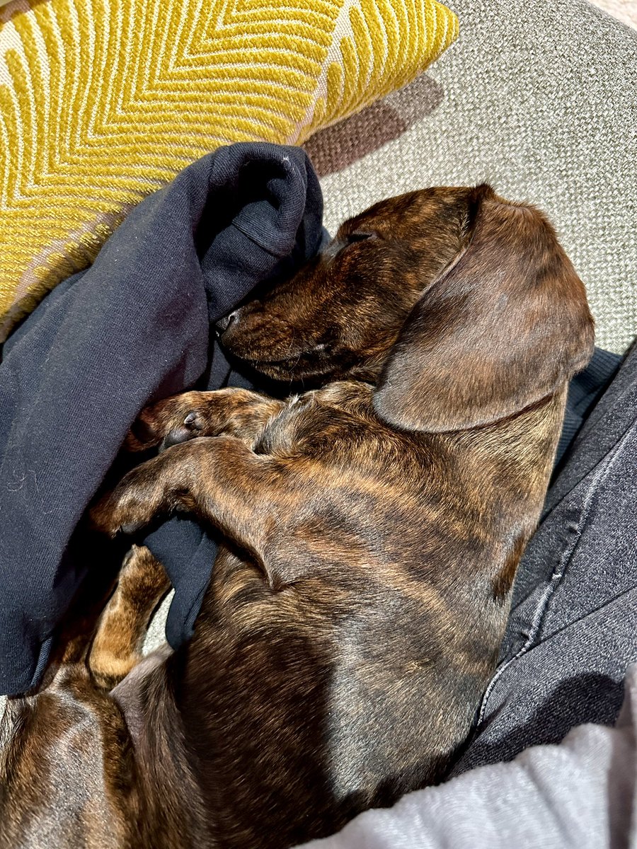 Greg Miller tweet media