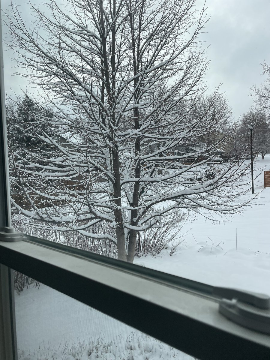gettingraphic's tweet image. #snowday! Not as fun when you still have to be in the office tho 😂❄️❄️❄️❄️