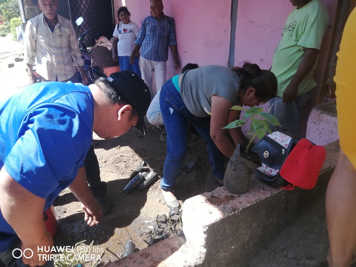DiriambaD2's tweet photo. #Nicaragua
#Distrito2ConDaniel2023 // La mañana del día de hoy el sistema de producción consumo y comercio a través del mefca realizaron capacitación en procesos de realización de abono y transplante adecuado para plantas medicinales . https://t.co/uEF60rpzG8