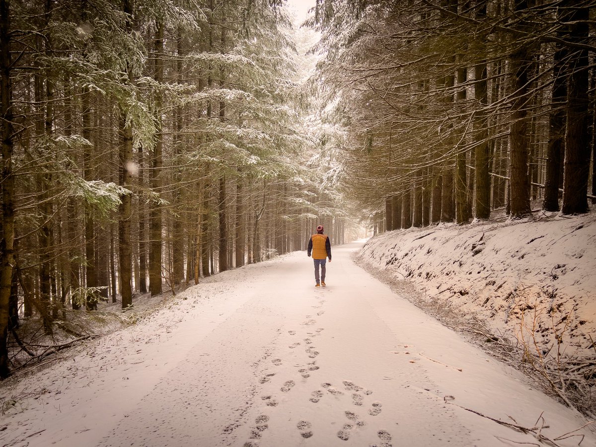 blogtrip's tweet photo. ❄️ Mi tranquilidad depende de mí, de lo que construya como entorno, de los límites que imponga a mis relaciones. Primero me ocupo de mi  salud física y emocional y luego me ocupo de ayudar Me quiero y me respeto ✊
#myself #me #yoprimero #autoestima #yo #moimeme #loveself #natur https://t.co/AApmnlq8cj