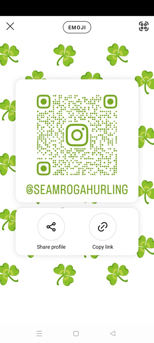 Shamrocks are on Instagram!

Head over and give us a follow ☘️

instagram.com/seamrogahurlin…