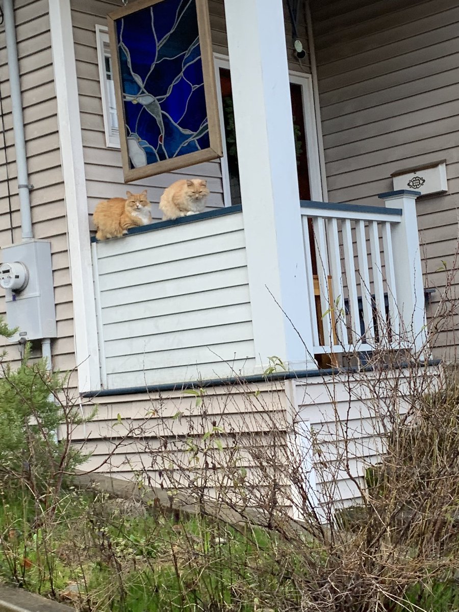 jordan_idiot's tweet photo. saw some old guys hanging out on the porch https://t.co/8GC4VGNZlH