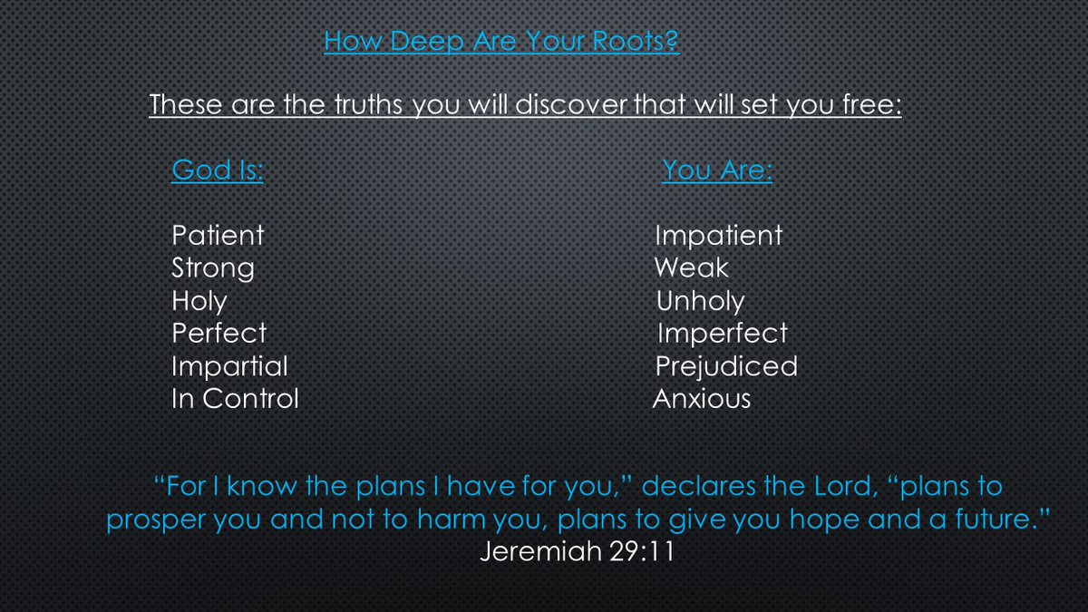 designedplanet's tweet image. How Deep Are Your Roots?