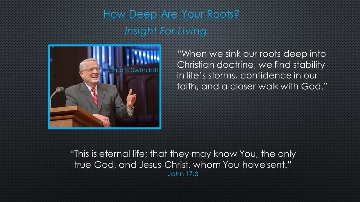 designedplanet's tweet image. How Deep Are Your Roots?