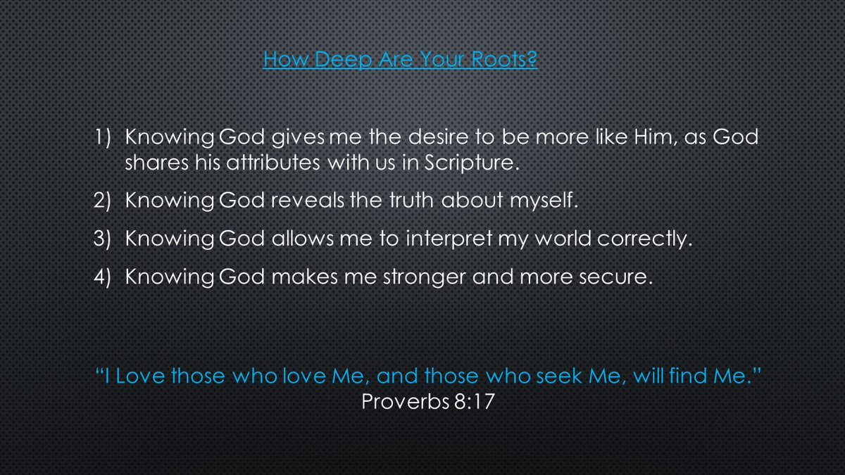 designedplanet's tweet image. How Deep Are Your Roots?