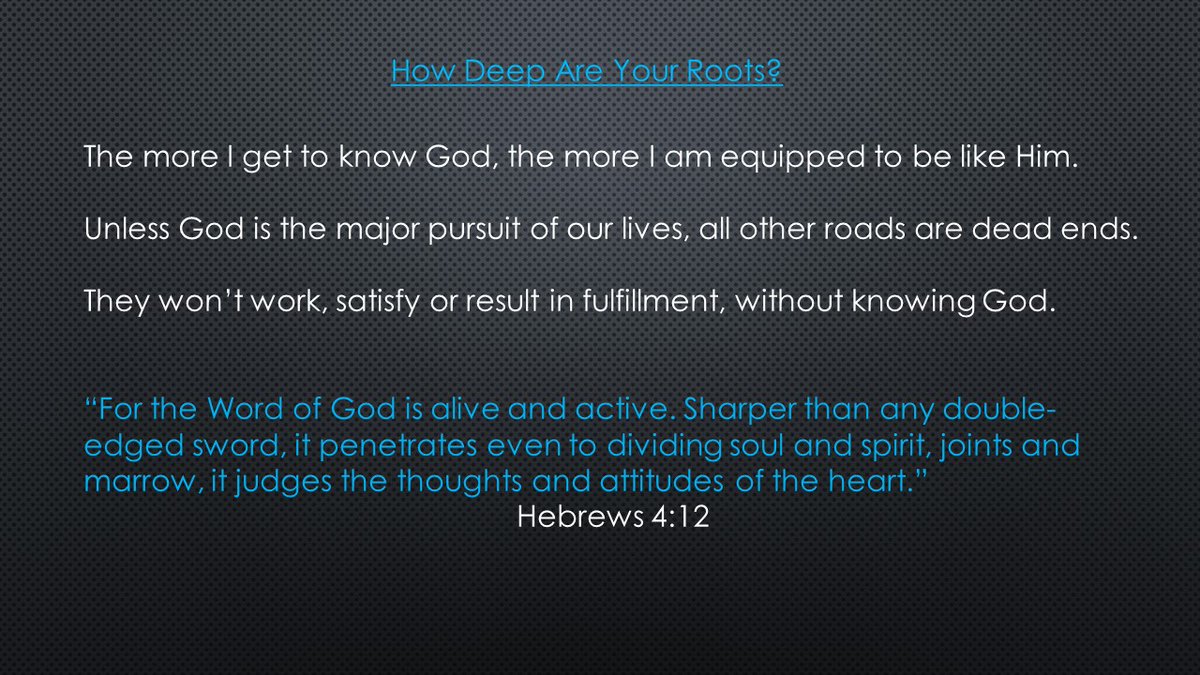 designedplanet's tweet image. How Deep Are Your Roots?