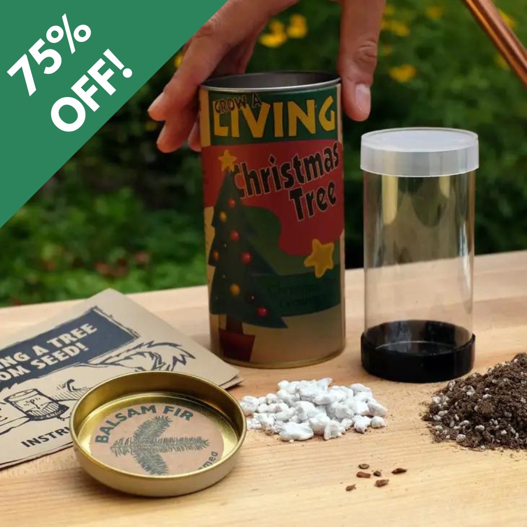 WoernerLS's tweet image. Christmas may be over, but it's never too late to grow a Christmas Tree! All Christmas Tree Grow Kits are 75% OFF. Balsam Fir, Fraser Fir, Noble Fir, and Colorado Brue Spruce available.