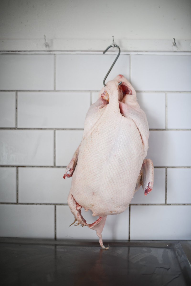 Fresh MOR Organic Pekin Ducks now in stock, please get in touch if interested #eatscottish #eatlocal